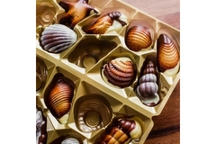 Box of Guylian seashell chocolates in gold packaging